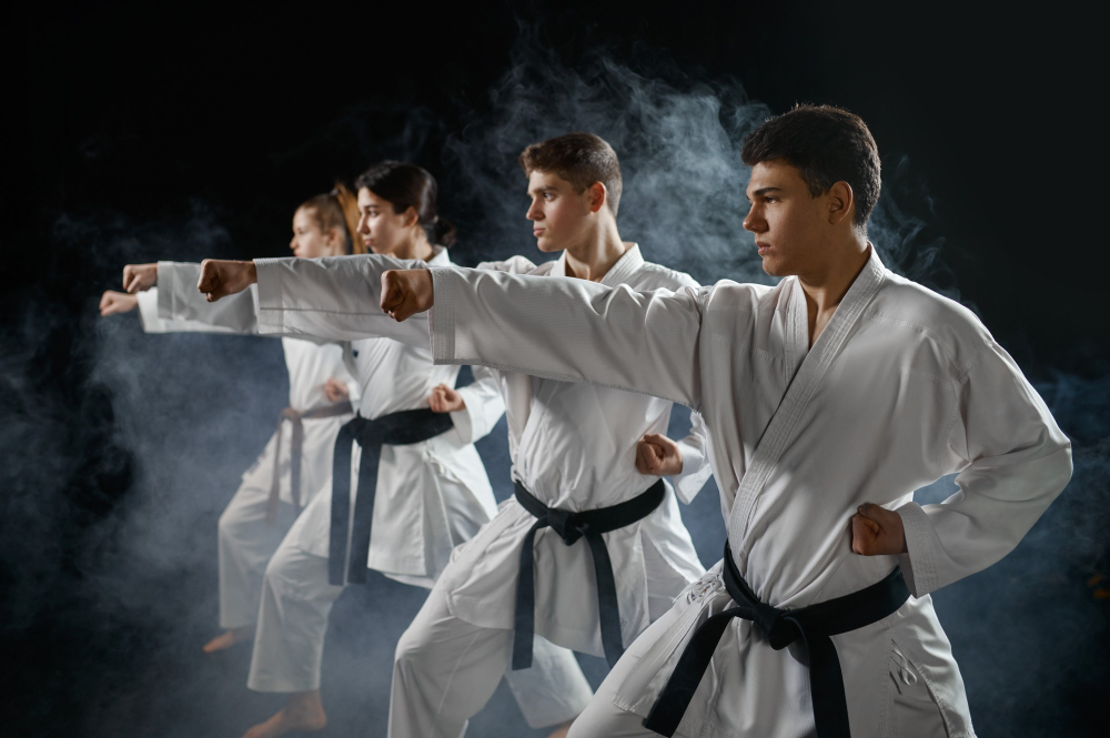 Taekwondo Academy in Wakad Pune