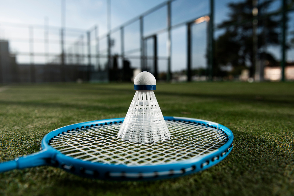 Badminton Court in Wakad Pune